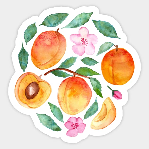 Apricot Abundance Sticker by tangerinetane